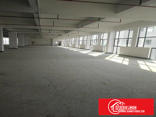 全新独院厂房便宜放！只要11元平米!