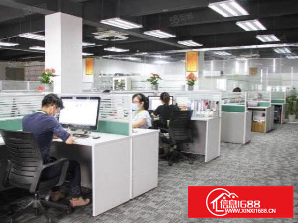 兴东洪浪北一楼1307平带隔层楼上2980平可分租金便宜