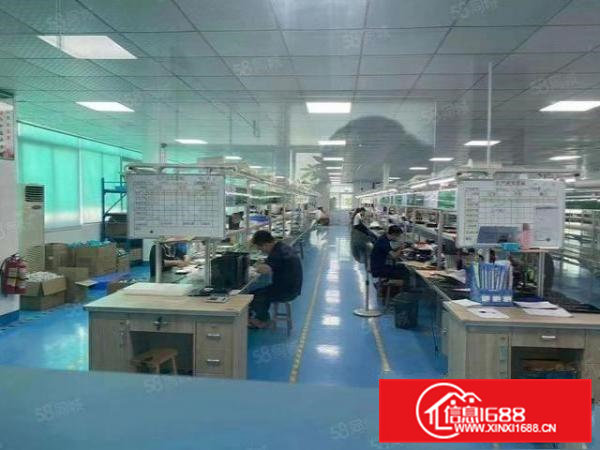 超大空地，红本厂房工业园周边人气旺2000平方出租