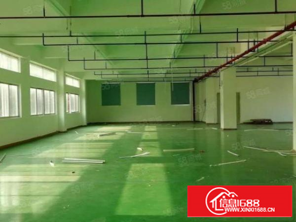 原房东独院分租2楼一整层1500平方