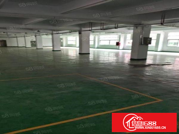 平湖富民工业区2楼整层1800平方出租干净整洁