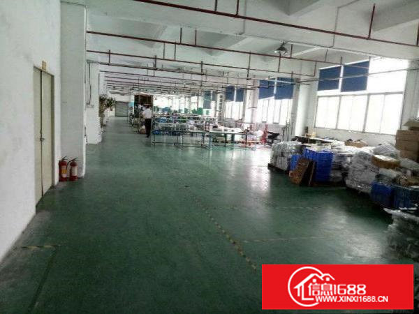 松岗红星700平厂房出租，正规的工业厂房，环境好