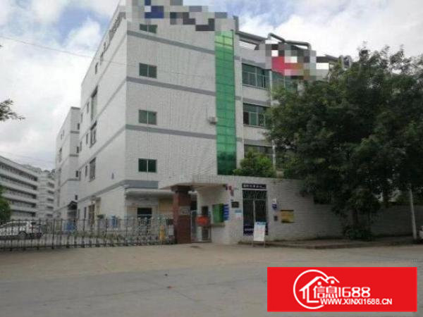 清溪浮岗村550平方带装修水电厂房出租