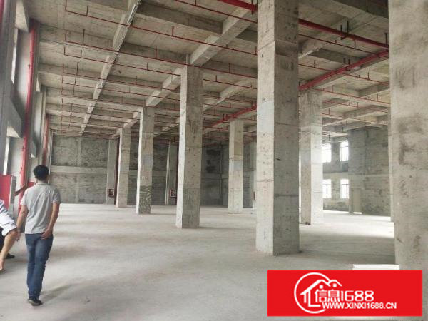 坂李大道边1426平层高8米原房东厂房出租