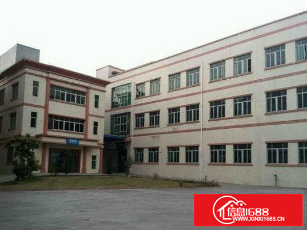 常平桥沥独院标准厂房1400平方出租宿舍按需分配