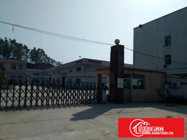 陈江工业区凡头村委独院分租全新钢构厂房650平招租