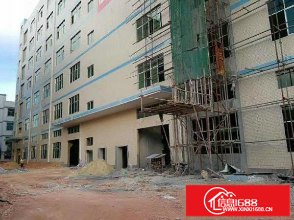 清溪大利独院厂房六层20000平方水电齐全大小可分