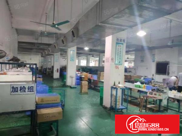 凤岗近深圳楼上（豪华装修）厂房出租2100平独立办公室电梯