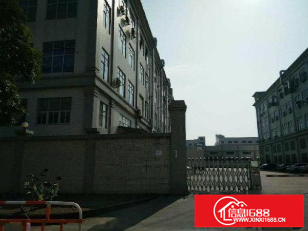 大朗镇新马莲公园附近独门独院3800平方带装修可办环评