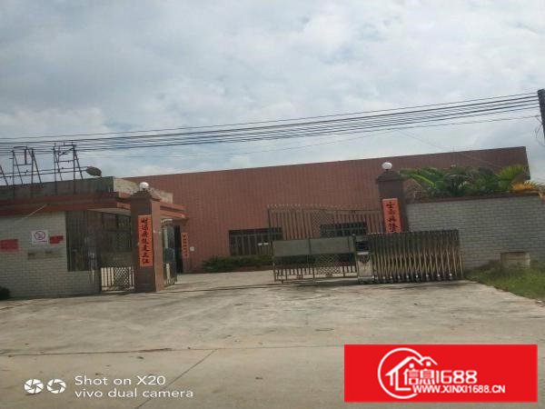 企石镇钢结构厂房出租