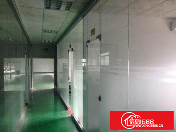 原房东，出租龙岗区坂田和磡村楼上厂房400平方整层招租