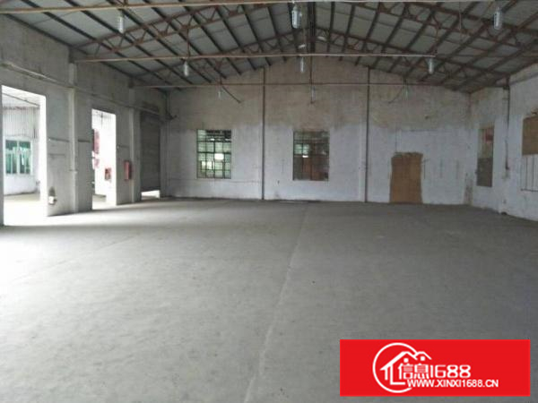 惠阳镇隆3700平原房东独院钢构高7米可做污染