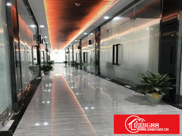 电商写字楼75平100平168平226平