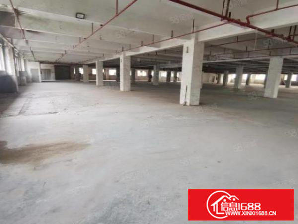 龙江镇一层过，方正，使用，可办环评，厂房形象好，易招工厂房