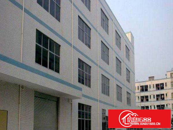 平湖白泥园标准厂房一楼800平米水电齐全精装修