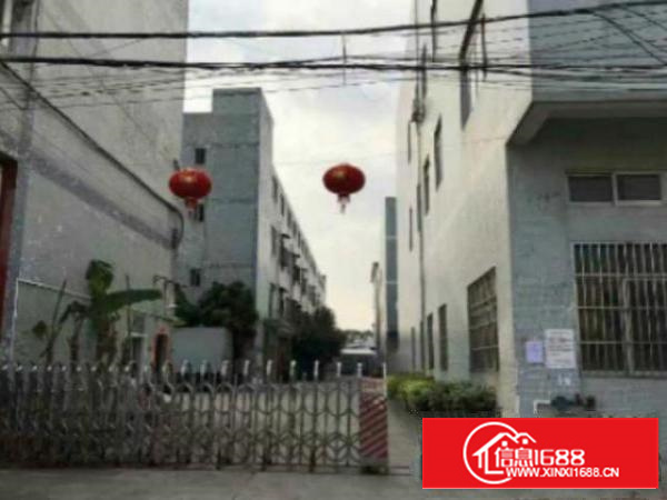 高埗横滘头新出一楼800平方.带装修.带办公室