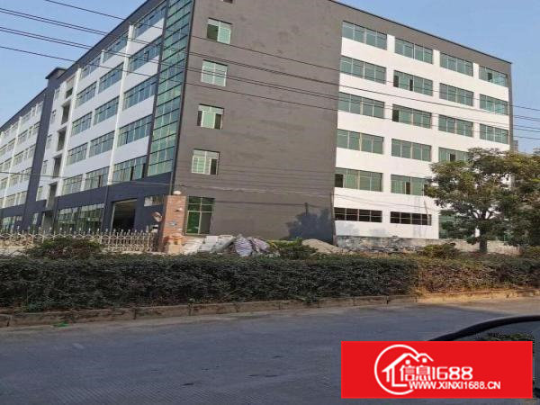 独门独院，全新标准厂房招租