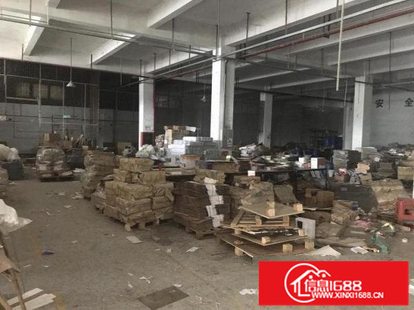 坂田独院一楼2100平，可分租，白菜价，适合各行各业！