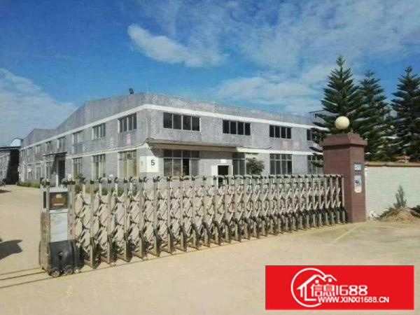 《可做污染》新圩镇东风村新出2层钢构6000平招租