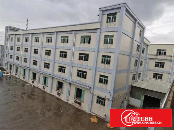 高埗厂房整租，无公摊，两栋标准厂房，原房东