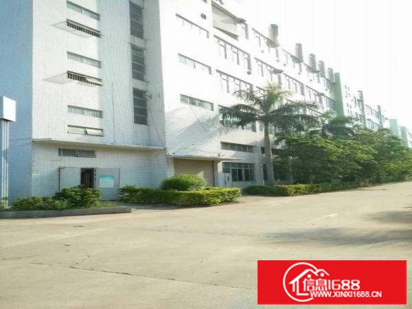 坪山坑梓3楼800平带装修现成办公水电招租