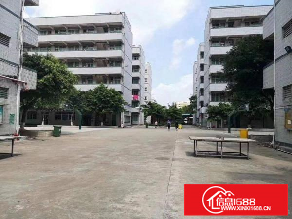 仲恺红本标准1楼6500平米有喷淋新厂房