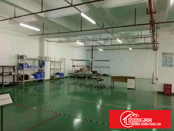 塘厦凤凰岗独院标准2楼800平方！全层地板砖办公室精装修