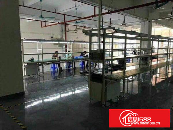 塘厦林村800平方带喷淋楼上厂房。临莲湖