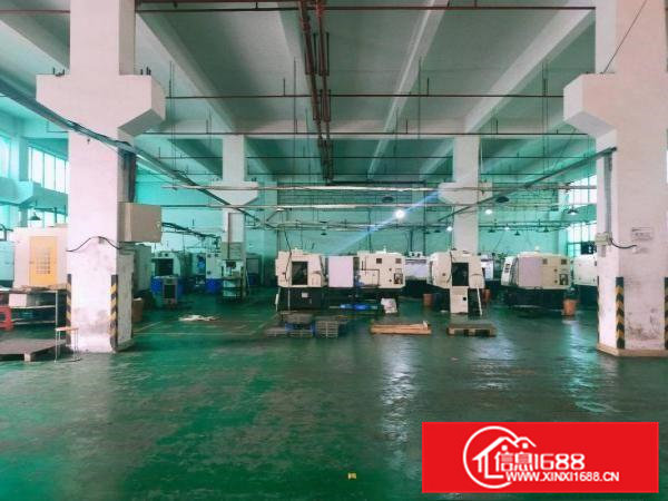 精装修办公室，带牛角，东深公路边上，大车好进，价格都好谈