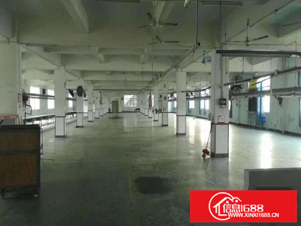 原房东标准独门独院厂房招租