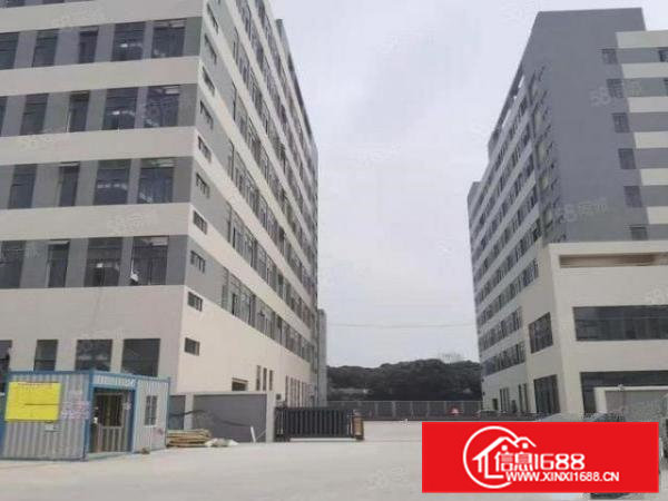 大岭山镇1楼1000平全新重工厂房出租，7米带牛角位超大空地