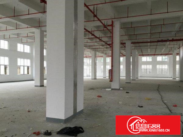 常平沙湖口标准一楼层高6米2000平一楼可分租