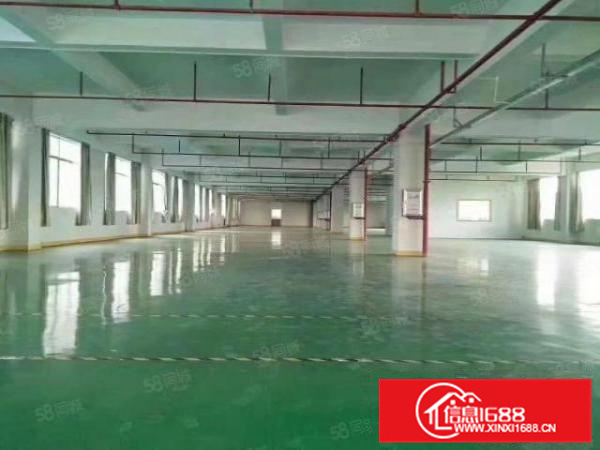 有房产证，可办环评，龙江独院5000方带精装修厂房，形象好！