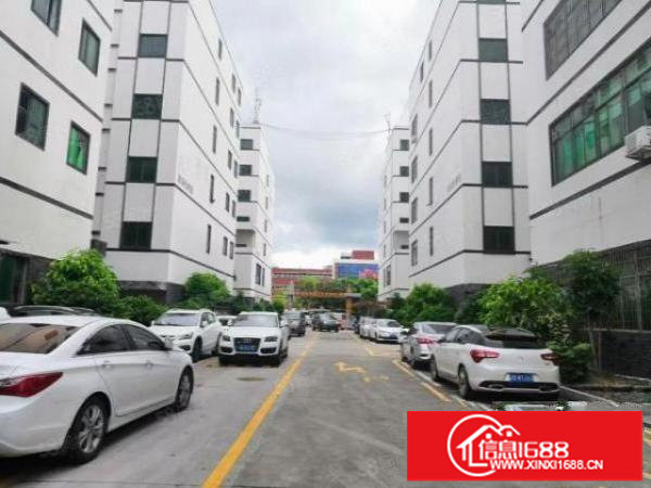 大浪华荣路290平精装修厂房出租