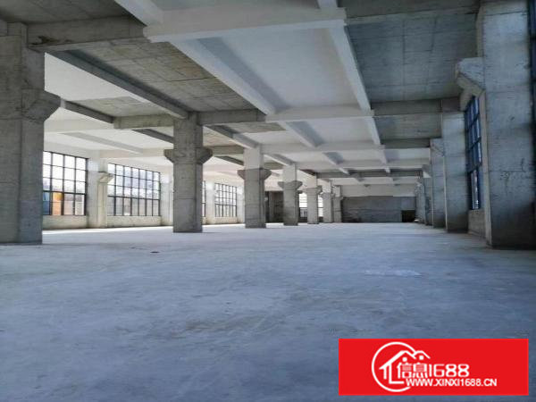 新出原房东独院重工业厂房，滴水1米，带牛角,空地大，形象好