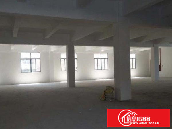 龙岗区平湖全新独院四层各1000平待出租