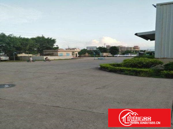 300平一楼原房东厂房出租位于坪山大道旁紧邻高速