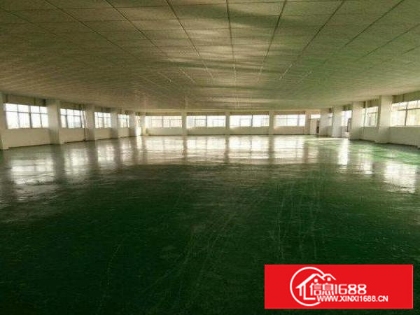 大坪1200 1630平方米楼上厂房/地坪漆和吊顶