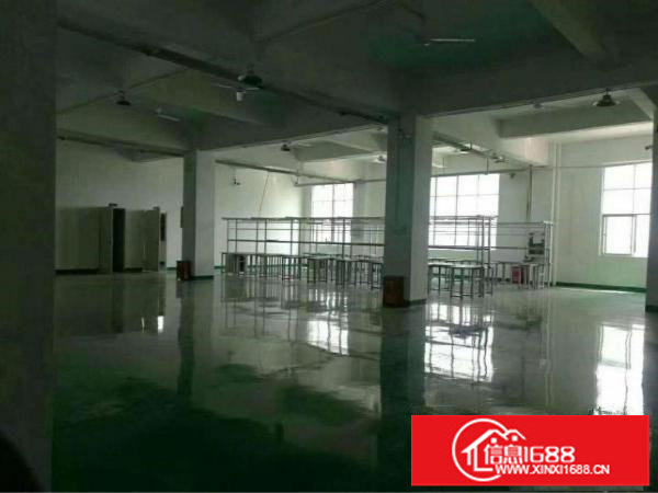 观澜章阁新出800平方，精装修，钢化玻璃办公室