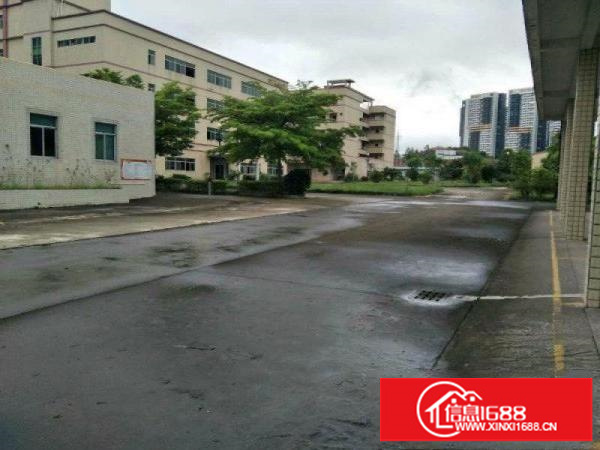 免中介费坪山石井空置1楼450平米标准厂房出租