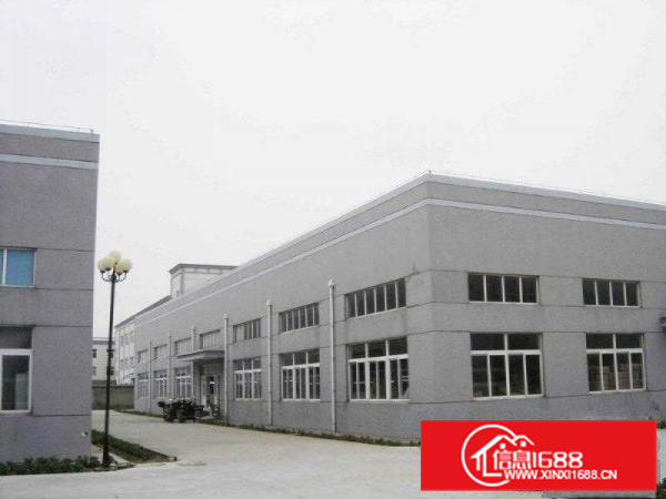 新圩全新单一层钢结构4280平方米招租