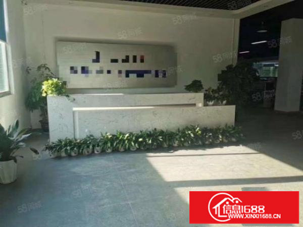 观澜观光路边上新出独栋7800平方厂房出租