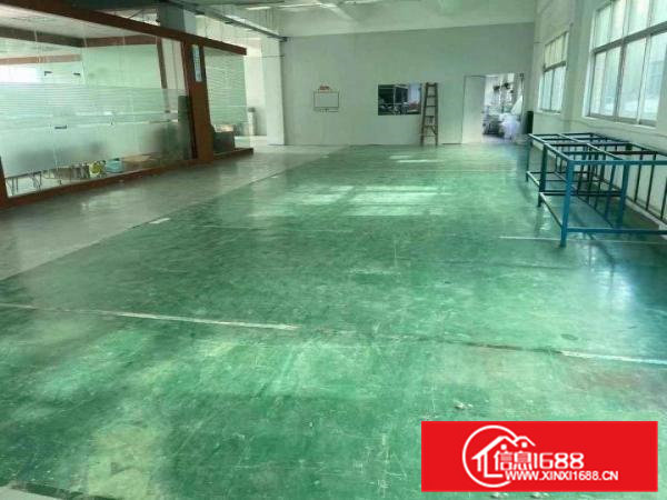 每日特价厂房不敢相信，标准厂房二楼11.8元