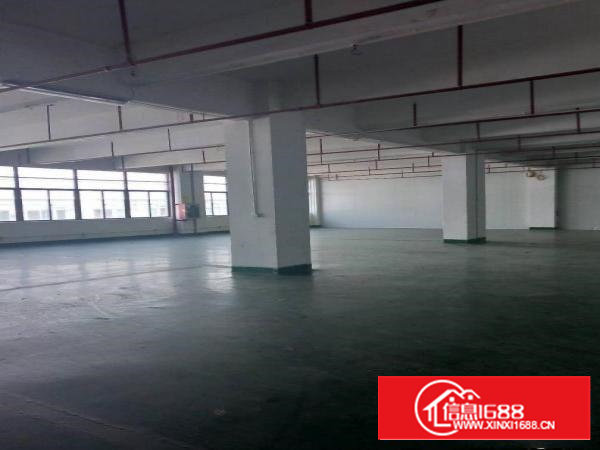 大型工业园内楼上120一1800平米大小户型实用装