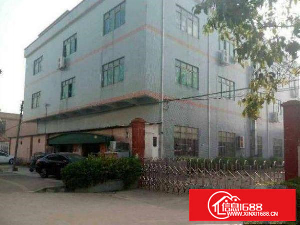 横沥村尾真实房源！独门独院3000平厂房