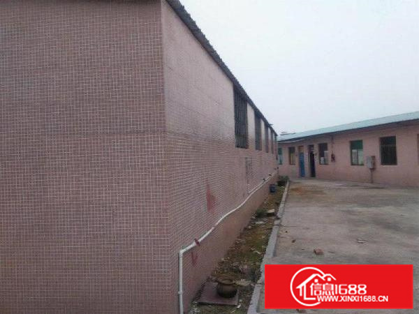 潼湖标准单一层全新独院厂房30000平米出租