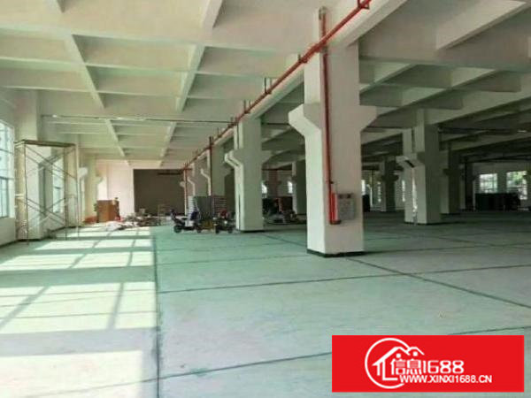 光明圳美社区一楼厂房出租900平米，带消防喷淋