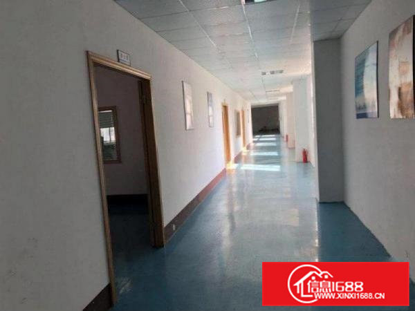 横沥{形象好}标准独院厂房分租二楼一层1000方