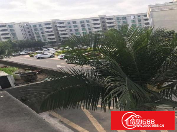 坂田上雪科技园厂房800平方1500平方火爆招商