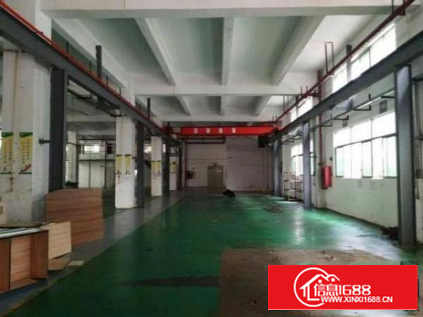 石排黄家壆村新出一楼七米高带装修厂房1600平